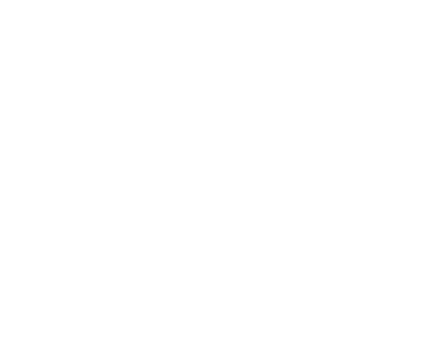 Bebe Kangaroo